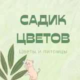 Садик цветов