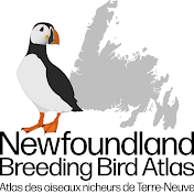 Newfoundland Breeding Bird Atlas