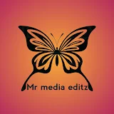 Mr media editz