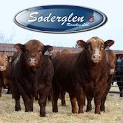 Soderglen Ranches Ltd.