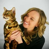 Bengal Cat Love