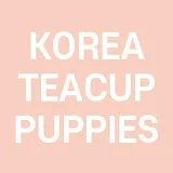 KOREA TEACUP PUPPIES