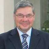 Professor Essam Hamdi