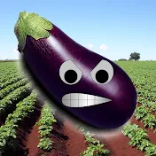 Eggplant