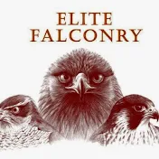 Elite Falconry