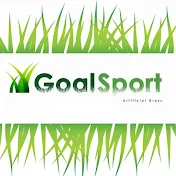 Goal sport