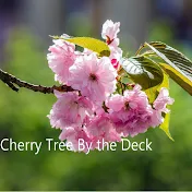 CherryTreeByTheDeck - Gardening, Cooking & MORE!