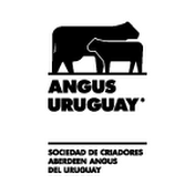 Angus Uruguay