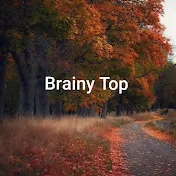 Brainy Top