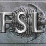 FSL Course