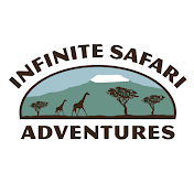 Infinite Safari Adventures