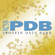 RCSBProteinDataBank