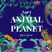 Leo's Animal Planet