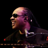 Stevie Wonder - Topic