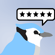 Blue Bird Reviews