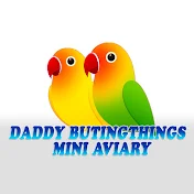 Daddy Butingthings Mini Aviary