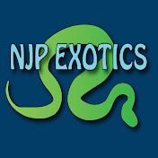 NJP Exotics