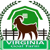 Virginia Goat Farm