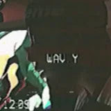 wav.yliving 波打つ