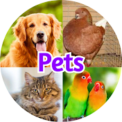 Pets