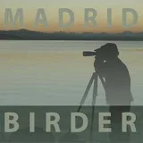 madridbirder