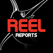 ReelReports