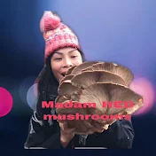 MADAM HED MUSHROOM