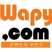 wapy com