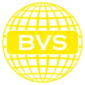 BVS Работа за границей