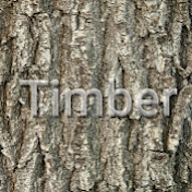 TimberYT