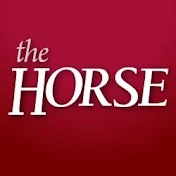 The Horse