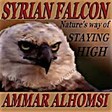 Ammar alhomsi (syrian falcon)