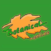 Botanical online Remedios, plantas y alimentos