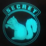 secret squirrel