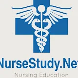 NurseStudy Net