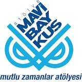 Mavi Baykuş Resim Atölyesi