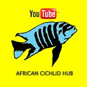 African Cichlid Hub