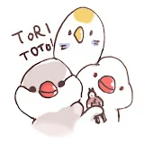 tori-to-toi