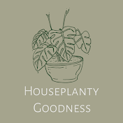 Houseplantygoodness