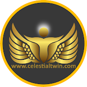 Celestial Twin Life Mentorship