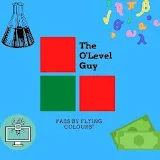 The O'Level Guys