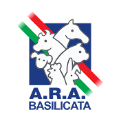 ARA Basilicata