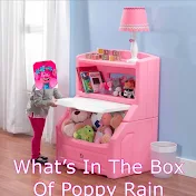 What’s in the box of poppy raine