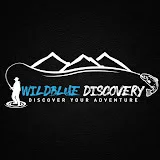 WildBlue Discovery