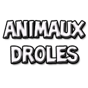 Vidéos Drôles