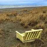 Yellow Bench