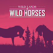 Wild Lands Wild Horses