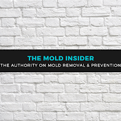 The Mold Insider