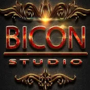 Bicon Studio 2