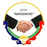 ДРОО Консенсус